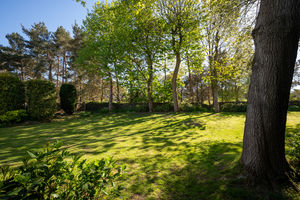 Stonewood Grove Sandygate